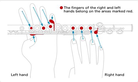 How to Play the Flute:Playing the Flute .